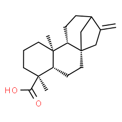 ChemSpider 2D Image | (5beta,8alpha,9beta,10alpha)-Kaur-16-en-19-oic acid | C20H30O2