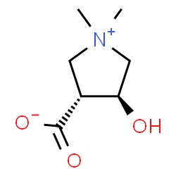 ChemSpider 2D Image | (3R,4S)-4-Hydroxy-1,1-dimethyl-3-pyrrolidiniumcarboxylate | C7H13NO3