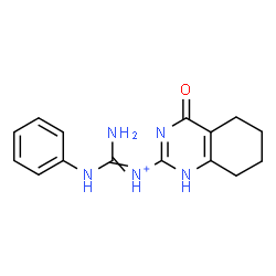 ChemSpider 2D Image | Amino(anilino)-N-(4-oxo-1,4,5,6,7,8-hexahydro-2-quinazolinyl)methaniminium | C15H18N5O
