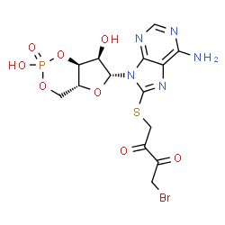 ChemSpider 2D Image | 1-({6-Amino-9-[(4aR,6R,7R,7aS)-2,7-dihydroxy-2-oxidotetrahydro-4H-furo[3,2-d][1,3,2]dioxaphosphinin-6-yl]-9H-purin-8-yl}sulfanyl)-4-bromo-2,3-butanedione | C14H15BrN5O8PS