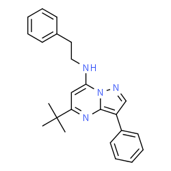 ChemSpider 2D Image | 5-(2-Methyl-2-propanyl)-3-phenyl-N-(2-phenylethyl)pyrazolo[1,5-a]pyrimidin-7-amine | C24H26N4