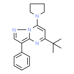 ChemSpider 2D Image | 5-(2-Methyl-2-propanyl)-3-phenyl-7-(1-pyrrolidinyl)pyrazolo[1,5-a]pyrimidine | C20H24N4