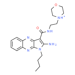 ChemSpider 2D Image | 4-(2-{[(2-Amino-1-butyl-1H-pyrrolo[2,3-b]quinoxalin-3-yl)carbonyl]amino}ethyl)morpholin-4-ium | C21H29N6O2