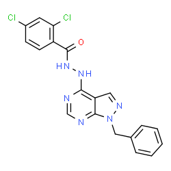 ChemSpider 2D Image | N'-(1-Benzyl-1H-pyrazolo[3,4-d]pyrimidin-4-yl)-2,4-dichlorobenzohydrazide | C19H14Cl2N6O