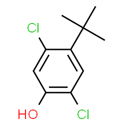 ChemSpider 2D Image | 2,5-Dichloro-4-(2-methyl-2-propanyl)phenol | C10H12Cl2O