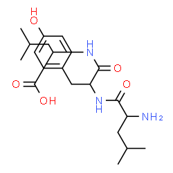 ChemSpider 2D Image | leu-tyr-leu | C21H33N3O5