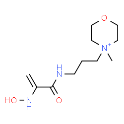 ChemSpider 2D Image | 4-(3-{[2-(Hydroxyamino)acryloyl]amino}propyl)-4-methylmorpholin-4-ium | C11H22N3O3