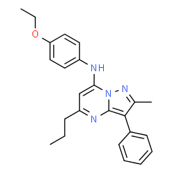 ChemSpider 2D Image | N-(4-Ethoxyphenyl)-2-methyl-3-phenyl-5-propylpyrazolo[1,5-a]pyrimidin-7-amine | C24H26N4O
