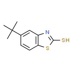 ChemSpider 2D Image | 5-(1,1-Dimethylethyl)-2(3H)-benzothiazolethione | C11H13NS2