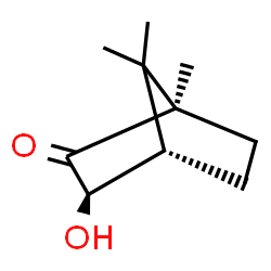 ChemSpider 2D Image | (1R-exo-(+/-))-3-hydroxycamphor | C10H16O2