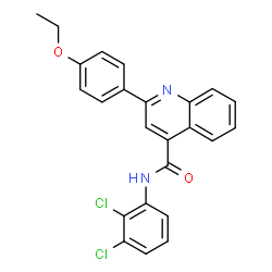 ChemSpider 2D Image | N-(2,3-Dichlorophenyl)-2-(4-ethoxyphenyl)-4-quinolinecarboxamide | C24H18Cl2N2O2