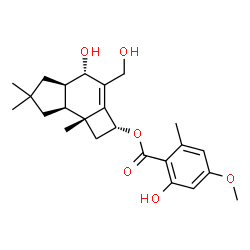 ChemSpider 2D Image | (2R,4S,4aR,7aS,7bR)-4-Hydroxy-3-(hydroxymethyl)-6,6,7b-trimethyl-2,4,4a,5,6,7,7a,7b-octahydro-1H-cyclobuta[e]inden-2-yl 2-hydroxy-4-methoxy-6-methylbenzoate | C24H32O6