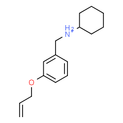 ChemSpider 2D Image | N-[3-(Allyloxy)benzyl]cyclohexanaminium | C16H24NO