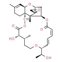 ChemSpider 2D Image | Isororidin A | C29H40O9