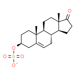 ChemSpider 2D Image | Dehydroepiandrosterone sulfate anion | C19H27O5S