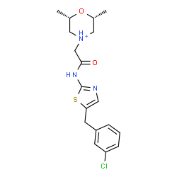 ChemSpider 2D Image | (2R,6S)-4-(2-{[5-(3-Chlorobenzyl)-1,3-thiazol-2-yl]amino}-2-oxoethyl)-2,6-dimethylmorpholin-4-ium | C18H23ClN3O2S