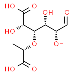 ChemSpider 2D Image | 4-O-[(1S)-1-Carboxyethyl]-D-glucuronic acid | C9H14O9