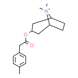 ChemSpider 2D Image | 8,8-Dimethyl-3-[2-(4-methylphenyl)acetoxy]-8-azoniabicyclo[3.2.1]octane | C18H26NO2