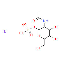 ChemSpider 2D Image | Hexopyranose, 2-(acetylamino)-2-deoxy-, 1-(dihydrogen phosphate), sodium salt (1:1) | C8H16NNaO9P