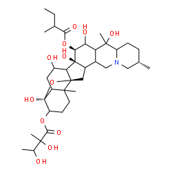 ChemSpider 2D Image | (4beta,5xi,8xi,10xi,12xi,13xi,14beta,15beta,17xi,20xi,22xi,25alpha)-4,7,14,16,20-Pentahydroxy-15-[(2-methylbutanoyl)oxy]-4,9-epoxycevan-3-yl 2,3-dihydroxy-2-methylbutanoate | C37H59NO12