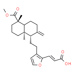 ChemSpider 2D Image | (2E)-3-(3-{2-[(1S,5S,8aR)-5-(Methoxycarbonyl)-5,8a-dimethyl-2-methylenedecahydro-1-naphthalenyl]ethyl}-2-furyl)acrylic acid | C24H32O5