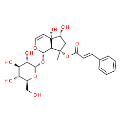 ChemSpider 2D Image | (1S,4aS,5R,7S,7aS)-1-(alpha-L-Glucopyranosyloxy)-4a,5-dihydroxy-7-methyl-1,4a,5,6,7,7a-hexahydrocyclopenta[c]pyran-7-yl (2E)-3-phenylacrylate | C24H30O11