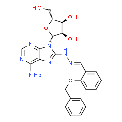 ChemSpider 2D Image | 8-{(2E)-2-[2-(Benzyloxy)benzylidene]hydrazino}adenosine | C24H25N7O5