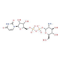 ChemSpider 2D Image | [(2R,3R,4R,5S,6R)-3-amino-4,5-dihydroxy-6-(hydroxymethyl)tetrahydropyran-2-yl] [[(2R,3S,4R,5R)-5-(2,4-dioxopyrimidin-1-yl)-3,4-dihydroxy-tetrahydrofuran-2-yl]methoxy-oxido-phosphoryl] phosphate | C15H23N3O16P2