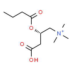 ChemSpider 2D Image | (2S)-2-(Butyryloxy)-3-carboxy-N,N,N-trimethyl-1-propanaminium | C11H22NO4
