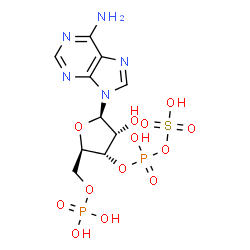 ChemSpider 2D Image | 3'-O-[Hydroxy(sulfooxy)phosphoryl]adenosine 5'-(dihydrogen phosphate) | C10H15N5O13P2S
