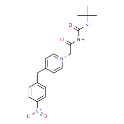 ChemSpider 2D Image | 1-(2-{[(2-Methyl-2-propanyl)carbamoyl]amino}-2-oxoethyl)-4-(4-nitrobenzyl)pyridinium | C19H23N4O4