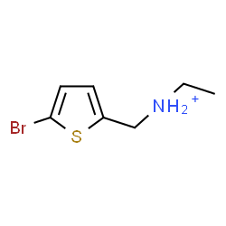 ChemSpider 2D Image | N-[(5-Bromo-2-thienyl)methyl]ethanaminium | C7H11BrNS