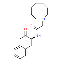 ChemSpider 2D Image | 1-(2-Oxo-2-{[(2S)-3-oxo-1-phenyl-2-butanyl]amino}ethyl)azocanium | C19H29N2O2