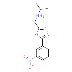 ChemSpider 2D Image | N-{[5-(3-Nitrophenyl)-1,3,4-oxadiazol-2-yl]methyl}-2-propanaminium | C12H15N4O3