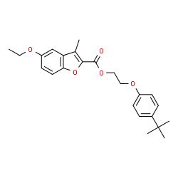 ChemSpider 2D Image | 2-[4-(2-Methyl-2-propanyl)phenoxy]ethyl 5-ethoxy-3-methyl-1-benzofuran-2-carboxylate | C24H28O5