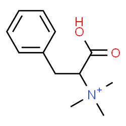 ChemSpider 2D Image | 1-Carboxy-N,N,N-trimethyl-2-phenylethanaminium | C12H18NO2