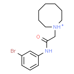 ChemSpider 2D Image | 1-{2-[(3-Bromophenyl)amino]-2-oxoethyl}azocanium | C15H22BrN2O