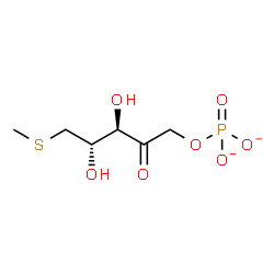 ChemSpider 2D Image | S-methyl-5-thio-D-ribulose 1-phosphate | C6H11O7PS