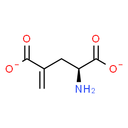 ChemSpider 2D Image | (2S)-2-Amino-4-methylenepentanedioate | C6H7NO4