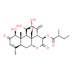 ChemSpider 2D Image | (1beta,11beta,12alpha,15beta)-1,11,12-Trihydroxy-2,16-dioxo-11,20-epoxypicrasa-3,13(21)-dien-15-yl 2-methylbutanoate | C25H32O9