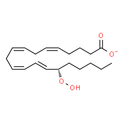 ChemSpider 2D Image | (5Z,8Z,11Z,13E,15S)-15-Hydroperoxy-5,8,11,13-icosatetraenoate | C20H31O4