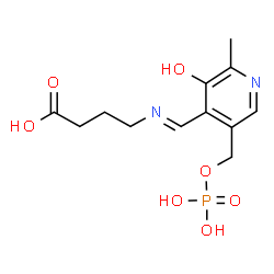 ChemSpider 2D Image | Butanoic acid, 4-(((3-hydroxy-2-methyl-5-((phosphonooxy)methyl)-4-pyridinyl)methylene)amino)- | C12H17N2O7P