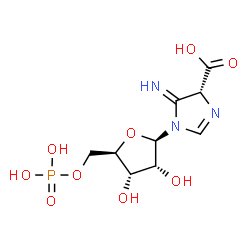 ChemSpider 2D Image | (4R)-5-Imino-1-(5-O-phosphono-beta-D-ribofuranosyl)-4,5-dihydro-1H-imidazole-4-carboxylic acid | C9H14N3O9P