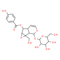 ChemSpider 2D Image | 2-(Hexopyranosyloxy)-1a-(hydroxymethyl)-1a,1b,2,5a,6,6a-hexahydrooxireno[4,5]cyclopenta[1,2-c]pyran-6-yl 4-hydroxybenzoate | C22H26O12