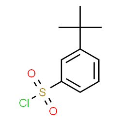 ChemSpider 2D Image | 3-tert-Butylbenzenesulfonyl chloride | C10H13ClO2S