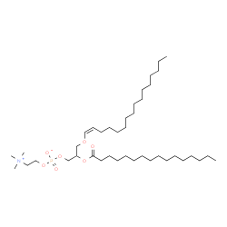 ChemSpider 2D Image | 3-[(1Z)-1-Hexadecen-1-yloxy]-2-(palmitoyloxy)propyl 2-(trimethylammonio)ethyl phosphate | C40H80NO7P
