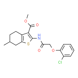 ChemSpider 2D Image | Methyl 2-{[(2-chlorophenoxy)acetyl]amino}-6-methyl-4,5,6,7-tetrahydro-1-benzothiophene-3-carboxylate | C19H20ClNO4S