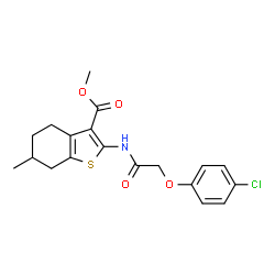 ChemSpider 2D Image | Methyl 2-{[(4-chlorophenoxy)acetyl]amino}-6-methyl-4,5,6,7-tetrahydro-1-benzothiophene-3-carboxylate | C19H20ClNO4S
