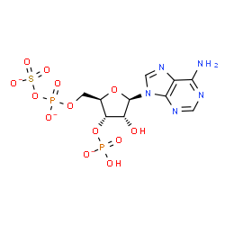 ChemSpider 2D Image | 3'-O-(Hydroxyphosphinato)-5'-O-[(sulfonatooxy)phosphinato]adenosine | C10H12N5O13P2S