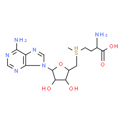 ChemSpider 2D Image | 9-{5-[(3-Amino-3-carboxypropyl)(methyl)-lambda~4~-sulfanyl]-5-deoxypentofuranosyl}-9H-purin-6-amine | C15H23N6O5S